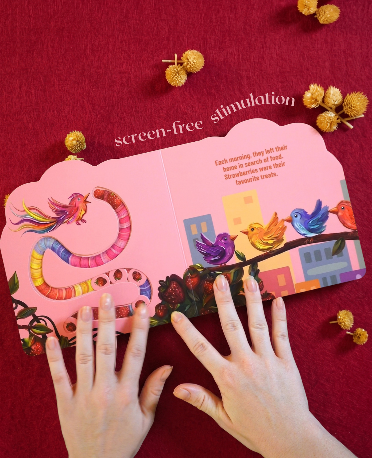 Singing Sisters – Indian Music Storybook